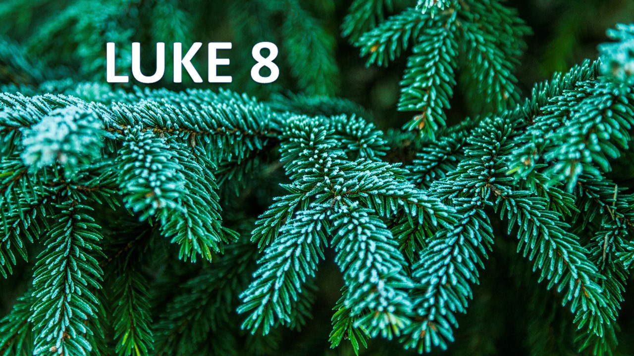 Luke 8